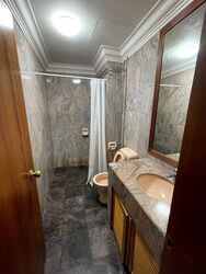 Le Hill Condominium (D5), Condominium #476362041